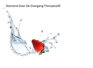 Stromend Door De Overegang Acupunctuurpraktijk Li Qi